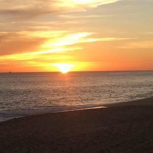 Meet your Posher, Freddie-debra